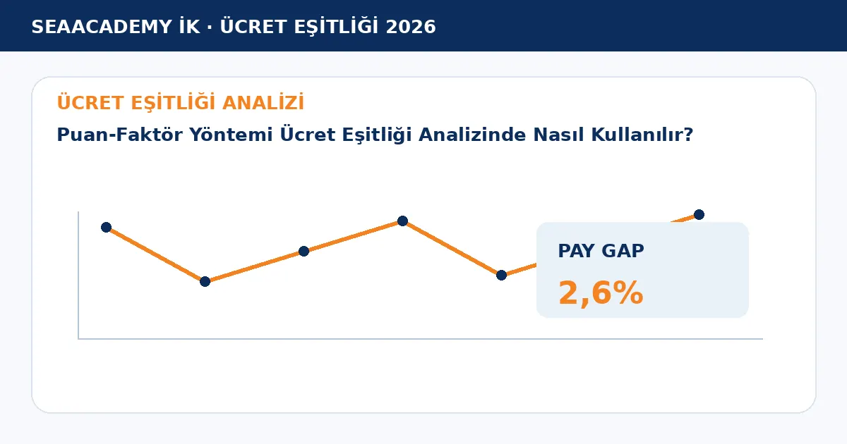Puan-Faktör Yöntemi Ücret Eşitliği Analizinde Nasıl Kullanılır? analiz görseli