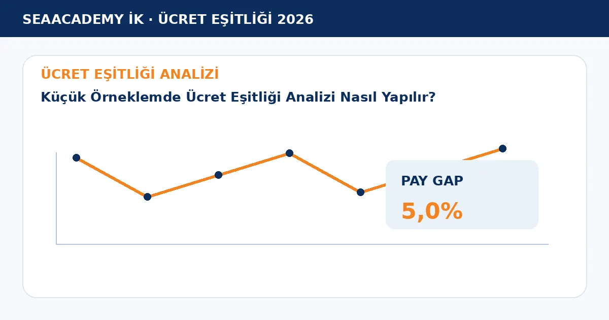 Küçük Örneklemde Ücret Eşitliği Analizi Nasıl Yapılır? analiz görseli