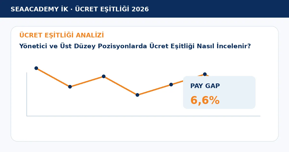 Yönetici ve Üst Düzey Pozisyonlarda Ücret Eşitliği Nasıl İncelenir? analiz görseli