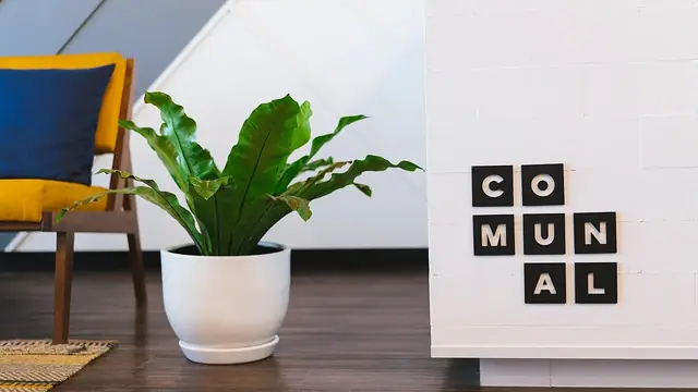 Ofis ve ekip çalışması — temsili fotoğraf