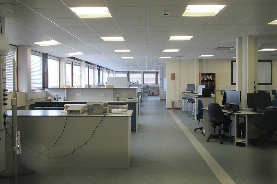 Ofis ve ortak çalışma ortamından bir görünüm