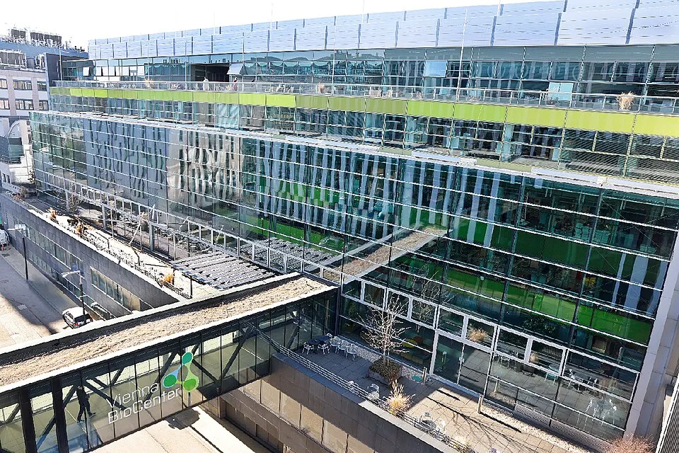 Teknik proje ve çalışma ortamından bir görünüm