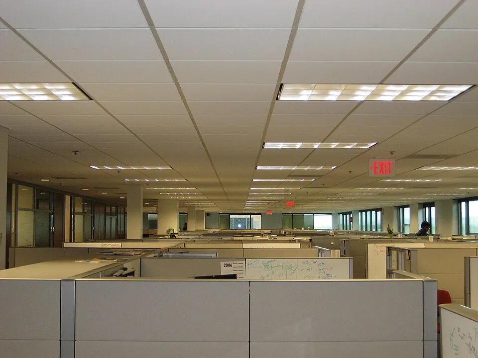 Ofis ve ortak çalışma ortamından bir görünüm