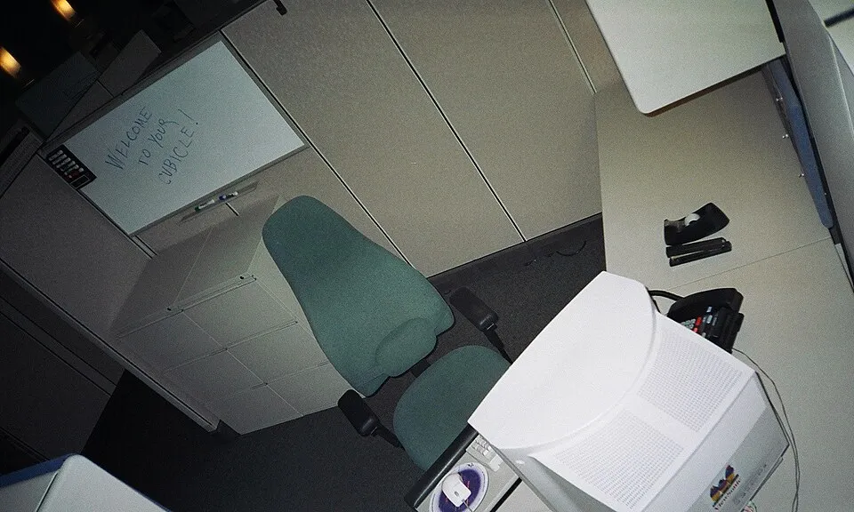 Ofis ve ortak çalışma ortamından bir görünüm
