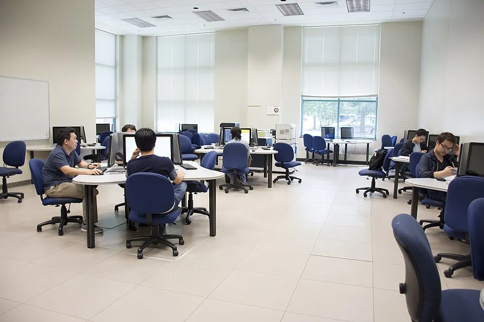 Ofis ve ortak çalışma ortamından bir görünüm